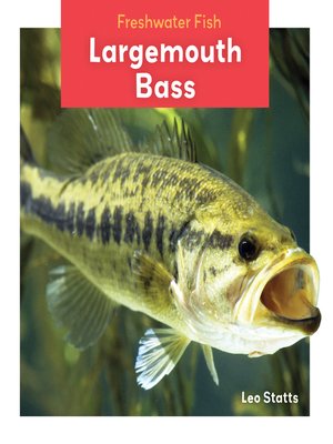 cover image of Largemouth Bass
